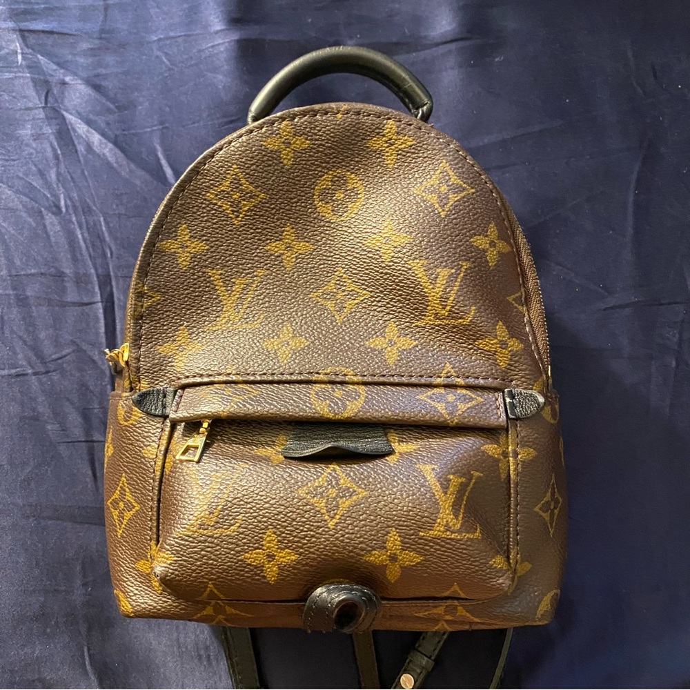Louis Vuitton Palm Springs Backpack Mini Brown Canvas